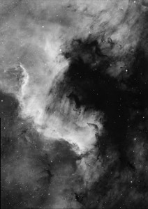 NGC 7000   