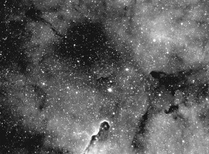 IC 1396 in Cepheus              