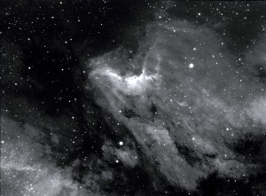 IC 5070 - The Pelican Nebula               