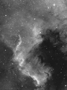 NGC 7000 North American Nebula                          